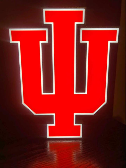 IU LED light box