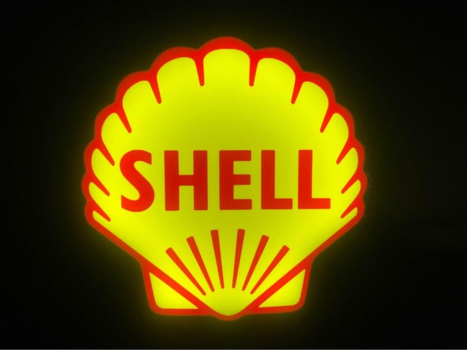 Shell LED light box